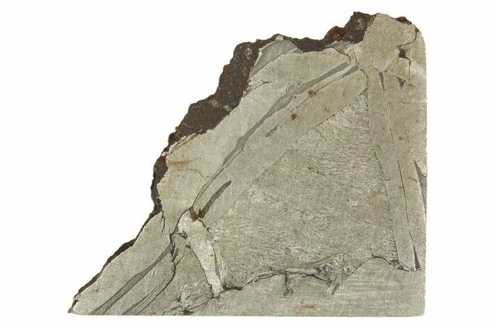 Etched Seymchan Meteorite Section ( g) - Russia #313246
